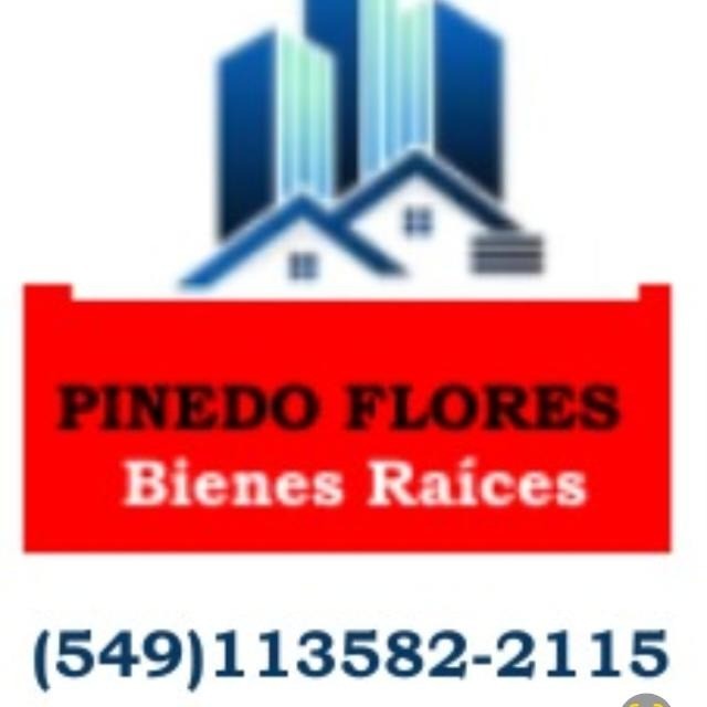 Pinedo Flores Bienes Raices